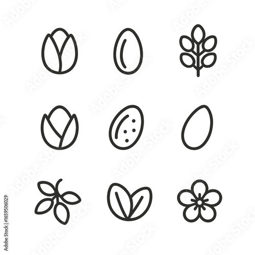Pistachio Icon Set. Outline icon set of pistachio nuts: whole pistachio, shelled pistachio, pistachio cluster, pistachio nut shell