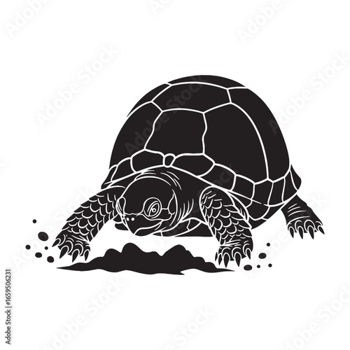 Defined Box Turtle Silhouette Featuring Dome-Like Body – Box Turtle Vector Template for Creative Work – Box Turtle Illustration – Silhouette of Box Turtle