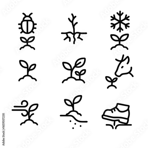 Sapling Threat Icons. Outline icon set of sapling threats: insect pest, drought, frost, disease, weed, animal browsing, wind