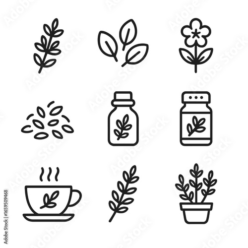 Thyme Icon Collection. Outline icon set of thyme: thyme sprig, thyme leaves, thyme flower, dried thyme, thyme essential oil bottle