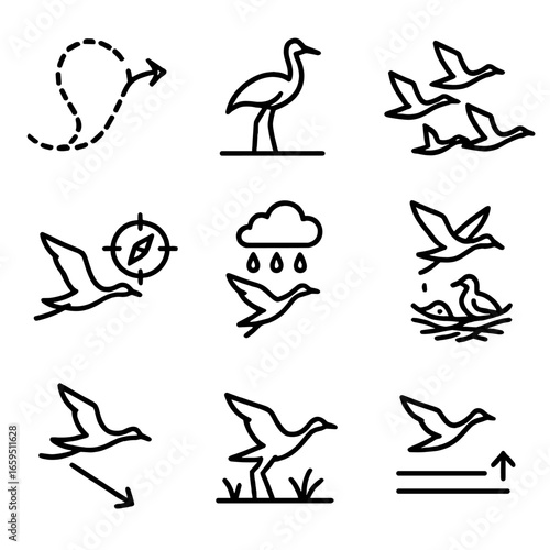 Bird Migration Icons. Outline icon set of big bird migration patterns: seasonal route, resting stop, flock formation, navigation,
