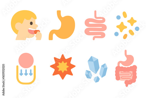 Carbohydrate Digestion Icons. Flat vector mini-illustrations carbohydrate digestion in colors children's illustrations: mouth