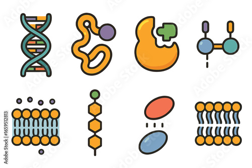 Colorful Biology Icons. Flat vector mini-illustrations bond in biology in colors children's illustrations: DNA double helix,
