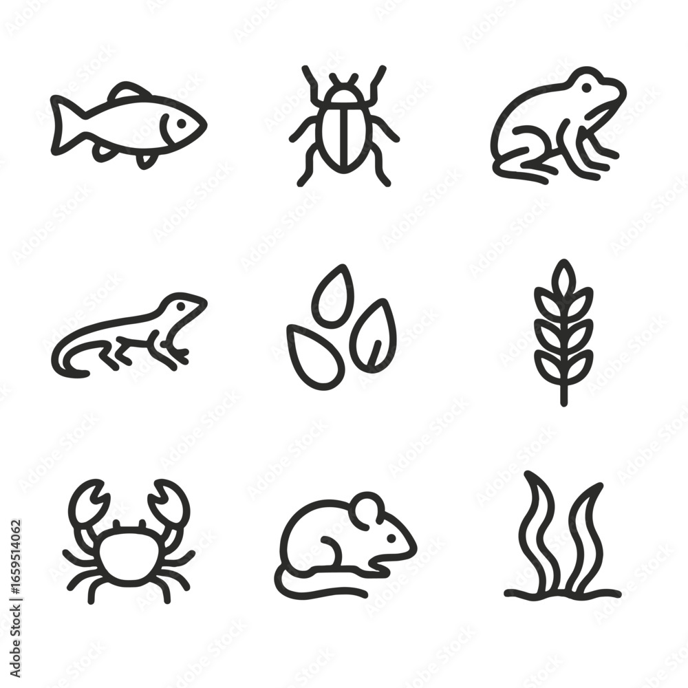 Naklejka premium Crane Diet Icons. Outline icon set of crane diet: fish, insects, amphibians, small reptiles, seeds, grains, crustaceans, rodents,
