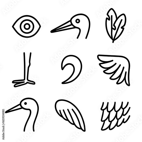 Crane Icon Set. Outline icon set of crane close-ups: eye, beak, feathers, feet, claws, wingtip, head profile, tail feathers,