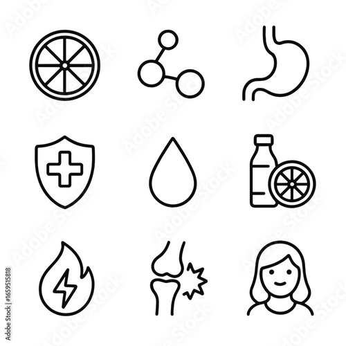 Health Benefits Icons. Outline icon set of tangy health benefits: vitamin C, antioxidant, digestion aid, immune boost, hydration,