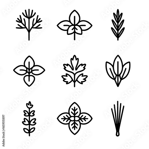 Herb Icon Grid. Outline icon set of dill culinary herbs: dill, basil, rosemary, oregano, parsley, sage, thyme, mint, chives. Line