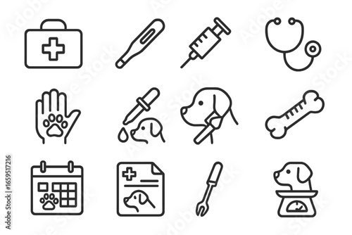 Dog Health Icons. Outline icon set of dog health check routine: vet bag, thermometer, dog vaccine, stethoscope