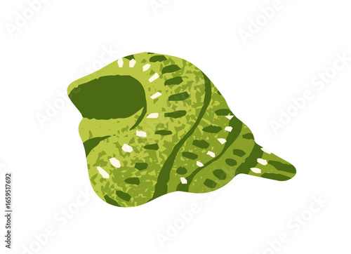 Little green conch icon. Patterned seashell of ocean mollusk. Exotic sea shell with spiral shape. Coiled tropical clam. Cute clamshell. Flat isolated drawing vector illustration on white background