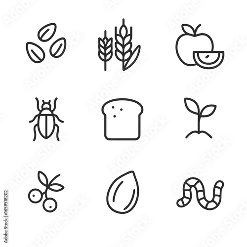 Pigeon Diet Icons. Outline icon set of pigeon diet: seeds, grains, fruits, insects, bread crumbs, small plants, berries, nuts,