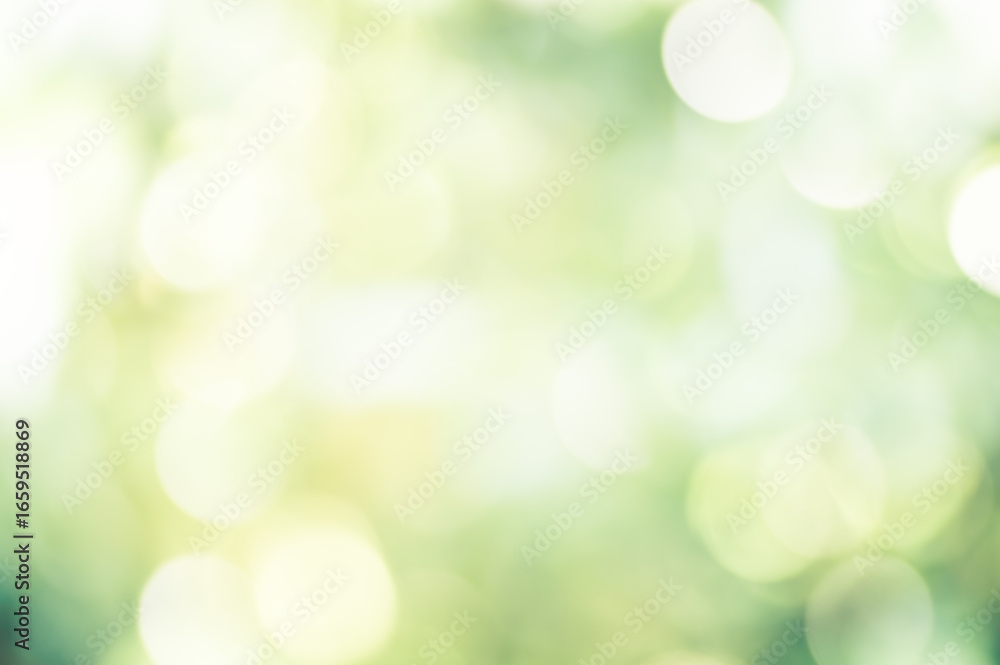 Fototapeta premium ぼやけた光と玉ボケが重なる緑の背景 A green background with blurred light and bokeh
