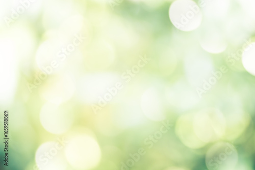 ぼやけた光と玉ボケが重なる緑の背景
A green background with blurred light and bokeh