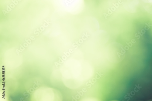ぼやけた緑の背景
Blurred green background