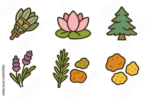 Sacred Plants Collection. Flat vector mini-illustrations sacred plants and herbs in colors children's illustrations: sage bundle,