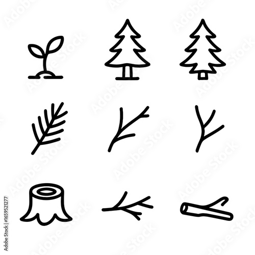Fir Tree Growth Stages. Outline icon set of fir tree growth stages: seedling, young fir, mature fir, old fir, sapling with needles