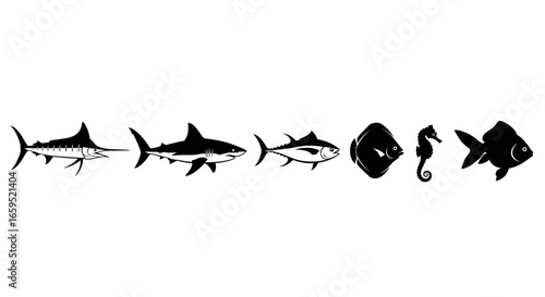 A sequence of stylized black silhouettes of various ocean fish, including a marlin, shark, tuna, pufferfish, seahorse, and angelfish.