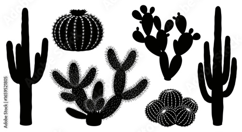 Silhouette illustration of various cacti species, including saguaro, barrel, and prickly pear, arranged against a white background.