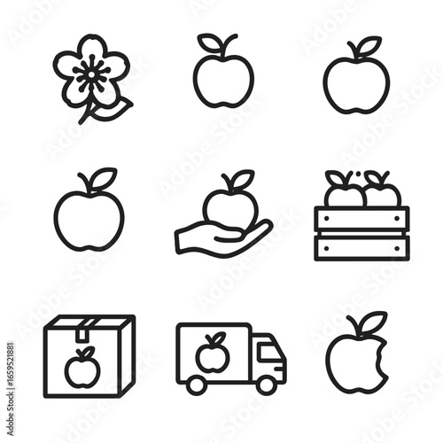 Apple Lifecycle Icons. Outline icon set of apple seasonal cycles: flowering, fruit setting, fruit growing, fruit ripening,