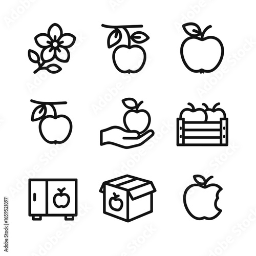 Apple Lifecycle Icons. Outline icon set of apple seasonal cycles: flowering, fruit setting, fruit growing, fruit ripening,