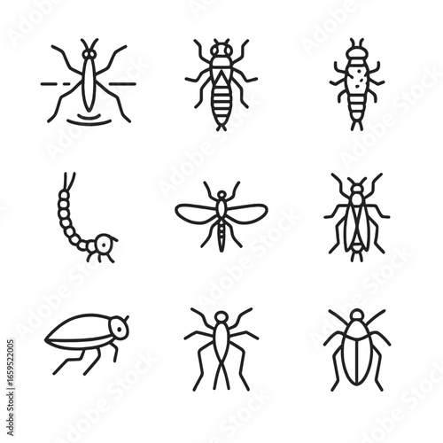 Aquatic Insect Icons. Outline icon set of aquatic insects: water strider, dragonfly nymph, caddisfly larva, mosquito larva, mayfly