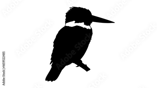 Bird silhouette with crest and long beak perched on branch – River sentinel, Minimalist elegance, Symbolic focus, kingfisher, bird, nature, silhouette