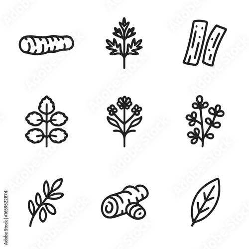 Bitter Herbs Icon Set. Outline icon set of bitter spices and herbs: gentian root, wormwood, cinchona bark, horehound, angelica,