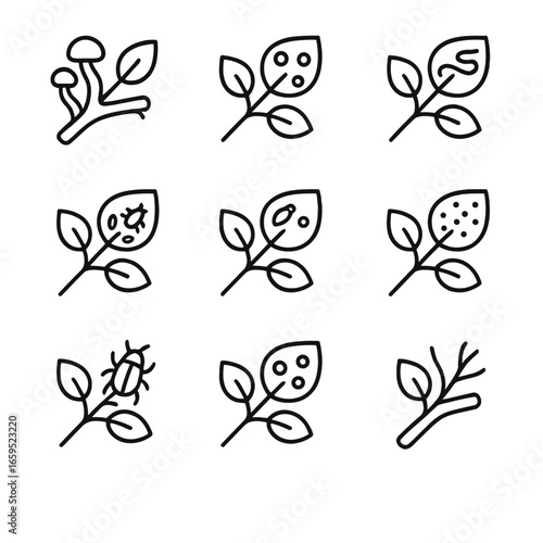 Branch Pest Icons. Outline icon set of branch diseases and pests: fungal infection, insect holes, leaf miner, aphids, scale