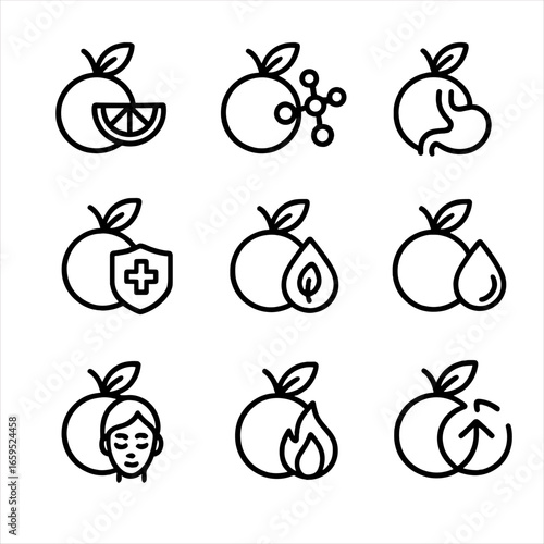 Citrus Health Icons. Outline icon set of citrus health benefits: vitamin C, antioxidant, digestion aid, immune boost,