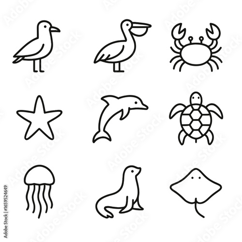 Coastal Animal Icons. Outline icon set of coastal animals: seagull, pelican, crab, starfish, dolphin, turtle, jellyfish, sea lion,