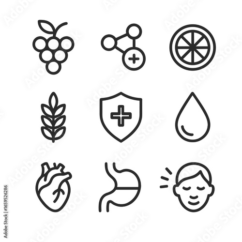 Grape Health Icons. Outline icon set of grape health benefits: antioxidants, vitamin C, fiber, immune boost, hydration, heart