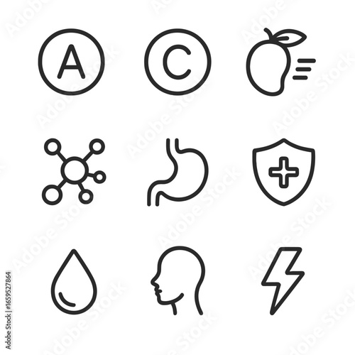 Mango Health Icons. Outline icon set of mango health benefits: vitamin A, vitamin C, fiber, antioxidants, digestion, immune boost,