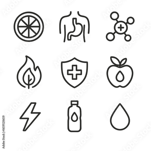 Health Benefit Icons. Outline icon set of zesty health benefits: vitamin C, digestion aid, antioxidant, metabolism boost,
