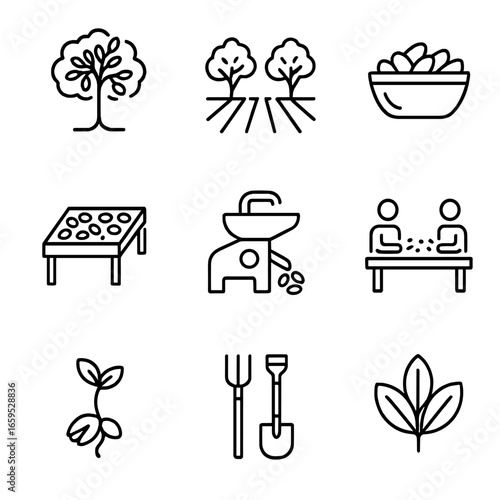 Pistachio Farming Icons. Outline icon set of pistachio farming and harvesting: pistachio tree, pistachio orchard, harvesting