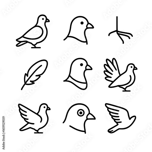 Pigeon Traits Icon Set. Outline icon set of pigeon physical traits: plump body, short beak, round head, small claws, soft feathers