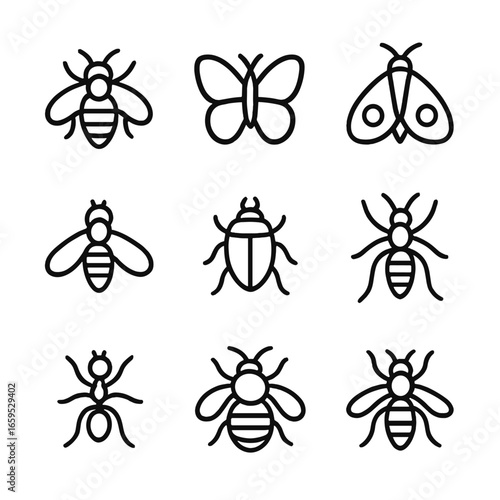 Pollinating Insects Icons. Outline icon set of pollinating insects: bee, butterfly, moth, hoverfly, beetle, wasp, ant, bumblebee,