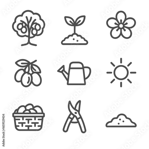 Plum Farming Icons. Outline icon set of plum farming: plum tree, plum seedling, plum flower, plum fruit cluster, watering can, sun