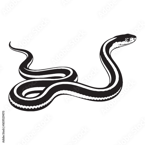 Smooth Garter Snake Silhouette with Defined Black Form – Garter Snake Vector Design – Black Vector of Garter Snake – Snake Vector