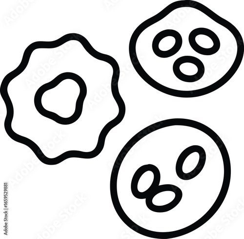 blod Cell structure icon