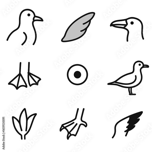 Seagull Icon Set. Outline icon set of seagull physical features: white plumage, grey wings, yellow beak, webbed feet, black