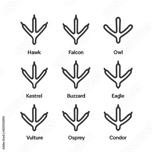 Raptor Footprint Icons. Outline icon set of raptor bird tracks: hawk footprints, falcon footprints, owl footprints, kestrel