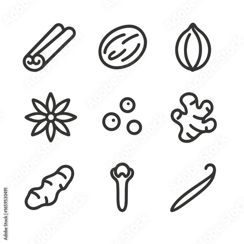 Spice Icon Set. Outline icon set of clove seasoning and flavor: cinnamon stick, nutmeg, cardamom pod, star anise, black pepper,