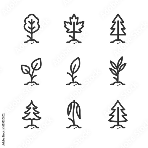 Sapling Icon Collection. Outline icon set of sapling types: oak sapling, maple sapling, pine sapling, birch sapling, cherry
