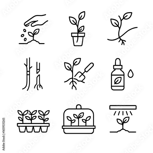 Seedling Propagation Icons. Outline icon set of seedling propagation: seed sowing, cutting, layering, grafting, transplanting,