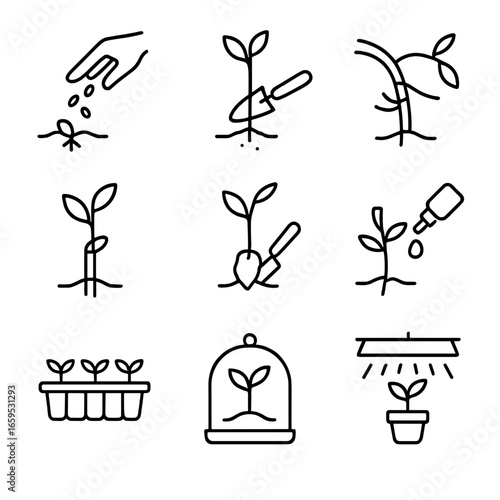 Seedling Propagation Icons. Outline icon set of seedling propagation: seed sowing, cutting, layering, grafting, transplanting,