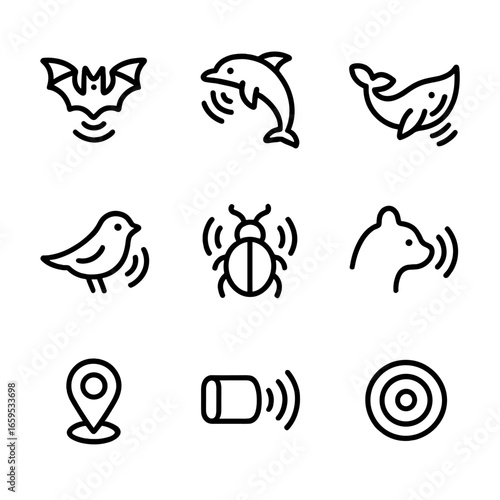 Animal Echo Icons. Outline icon set of echo in animals: bat echolocation, dolphin sonar, whale echo, bird echo, insect echo,