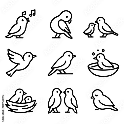 Aviary Behavior Icons. Outline icon set of aviary behavior: bird singing, preening, feeding, flying, perching, bathing, nesting,