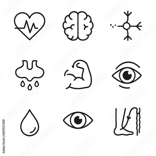 Biological Signals Icons. Outline icon set of biological signals: heartbeat, brainwave, nerve signal, hormone release, muscle