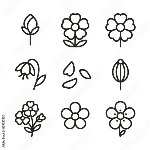 Blossom Cycle Icons. Outline icon set of blossom stages: bud, partially opened flower, full bloom, wilting flower, fallen petals,