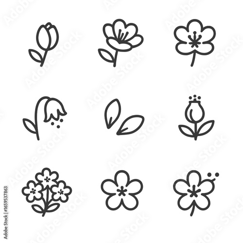 Blossom Cycle Icons. Outline icon set of blossom stages: bud, partially opened flower, full bloom, wilting flower, fallen petals,