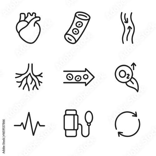 Blood Circulation Icons. Outline icon set of blood circulation: heart, artery, vein, capillary, blood flow, oxygen transport,